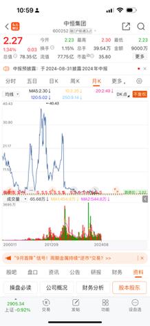 深圳市引导基金 政府投资引导基金